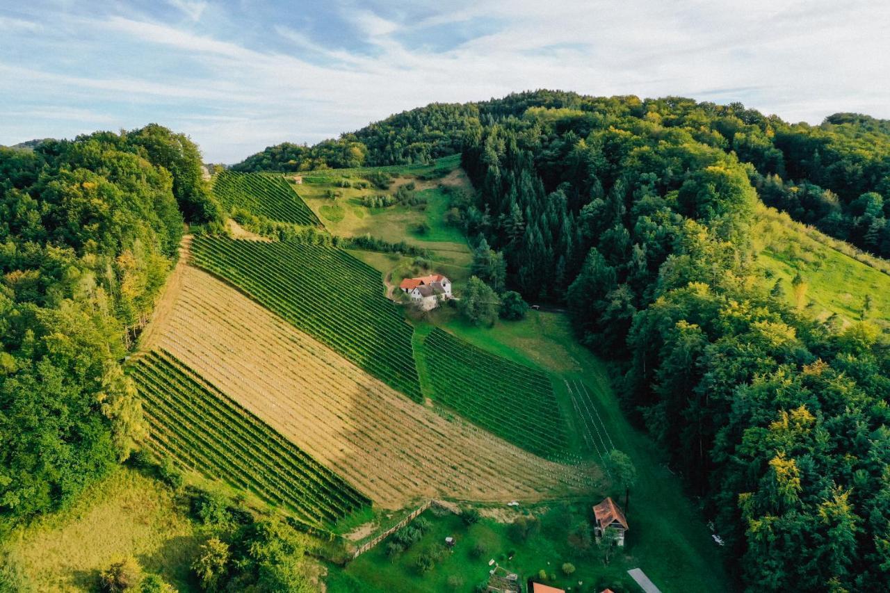 Winzerhof Strablegg Villa Großklein Exteriör bild