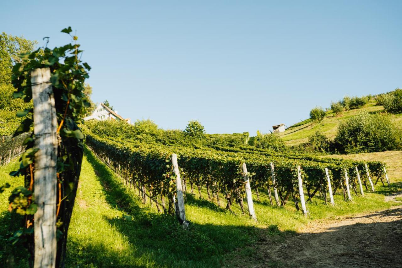 Winzerhof Strablegg Villa Großklein Exteriör bild